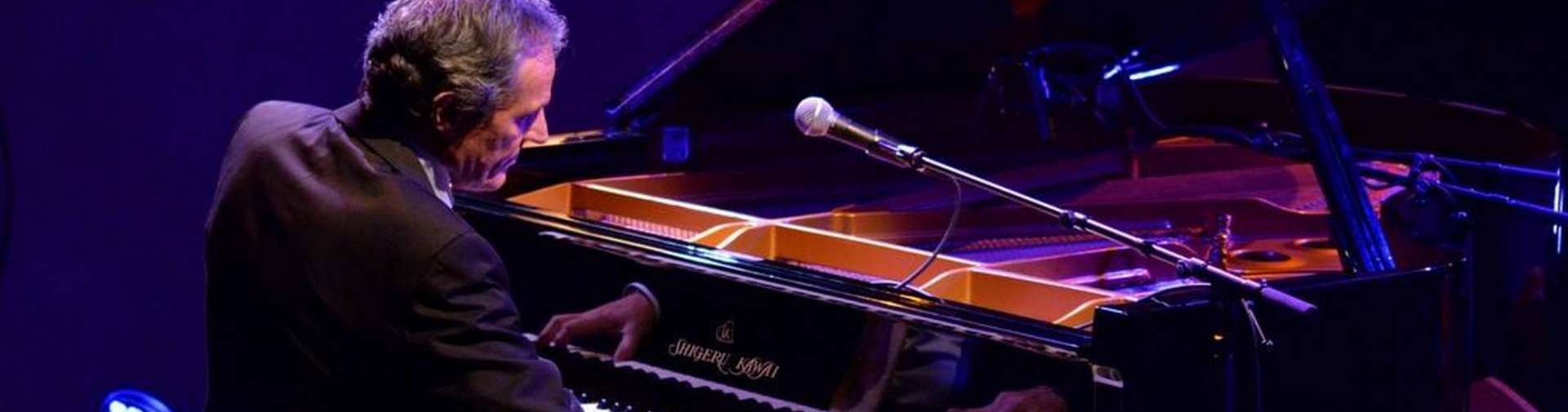 Jean Pierre Bertrand - meilleurs pianistes de Boogie-Woogie en France.